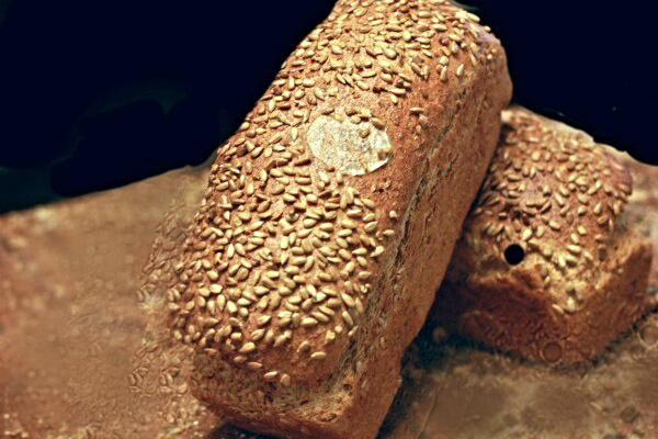 Dinkel grof  800 gr.
speltmeel*water,haver*gerst*rogge*rijst*zonnebl.pitten*maisvlokken*b.v.m.*gist,zeezout